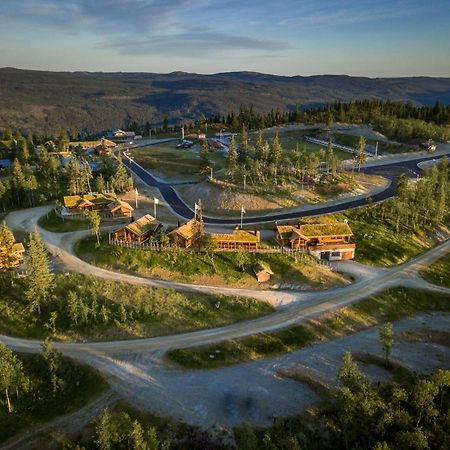 Liapark Vila Ål Exterior foto