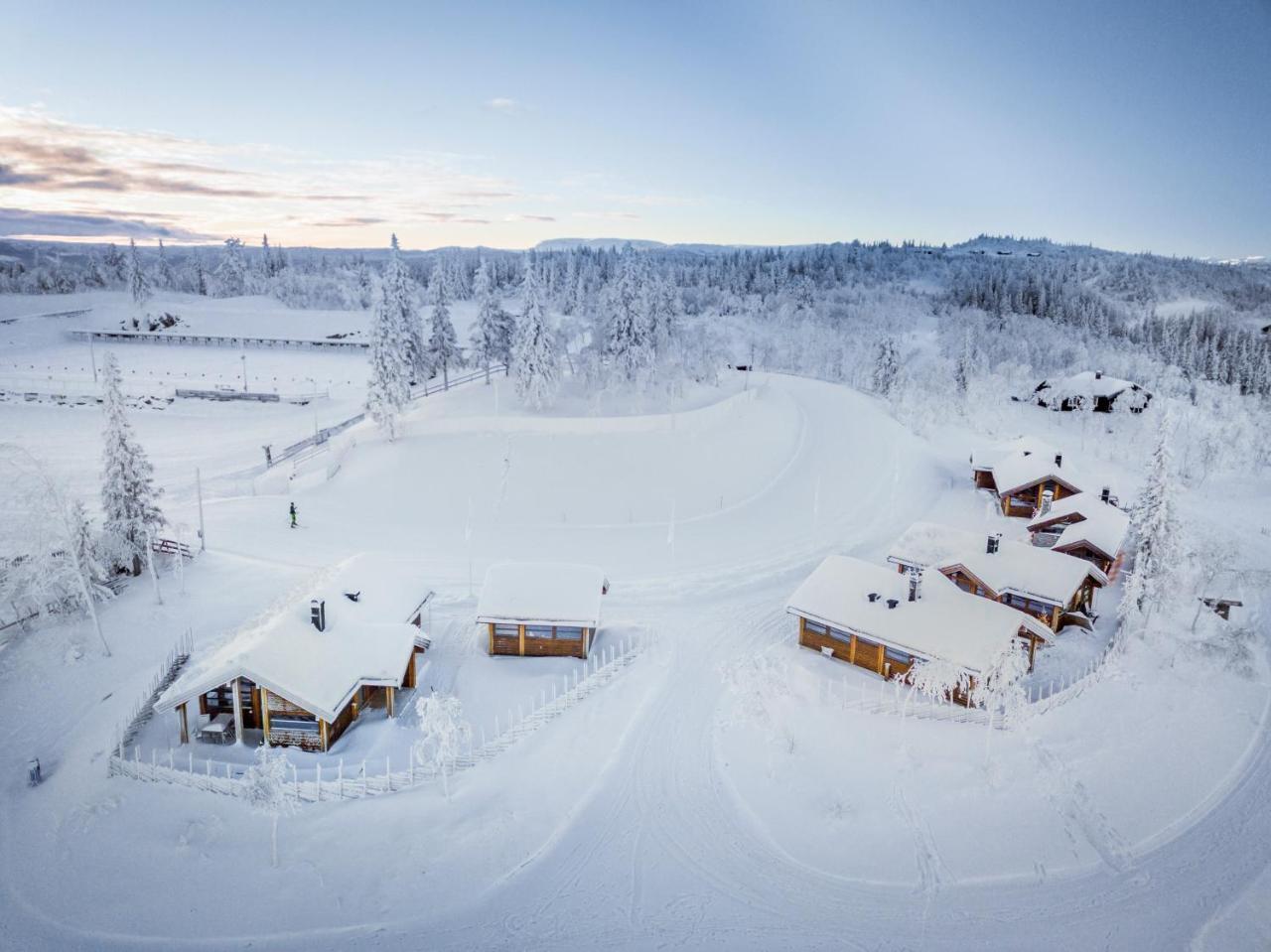 Liapark Vila Ål Exterior foto